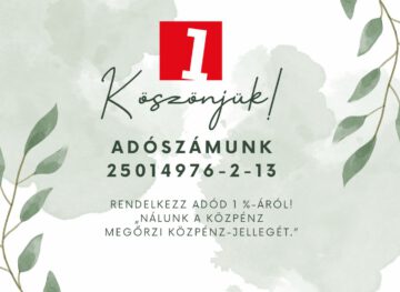 adoegyszazalek_2024